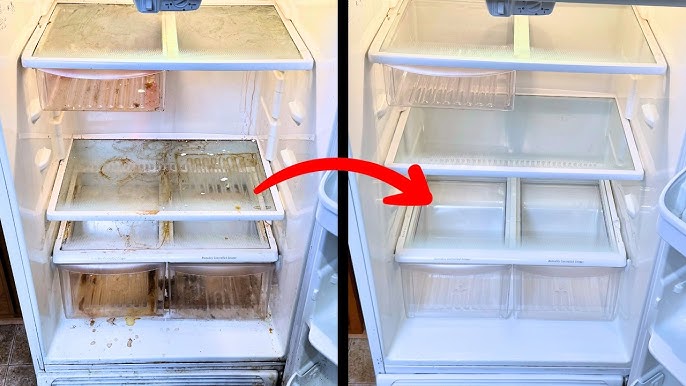 Fridge Classic Premium Cleaning Single Door